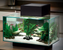 Mostrar produtos na categoria Aquários Imagem por categoria Aquários